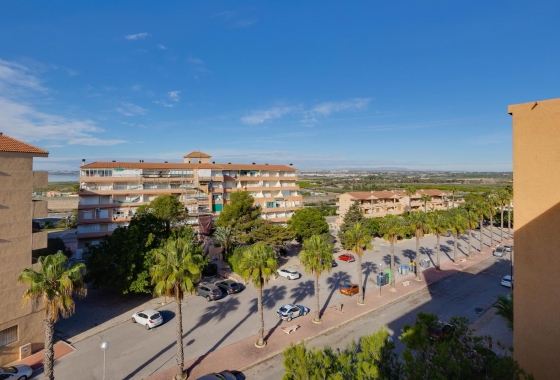 Resale - Apartment - Guardamar del Segura - Pinomar
