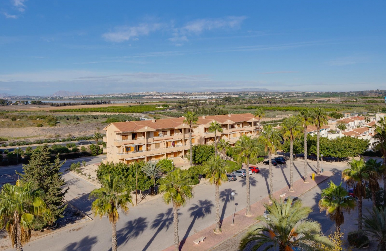 Resale - Apartment - Guardamar del Segura - Pinomar