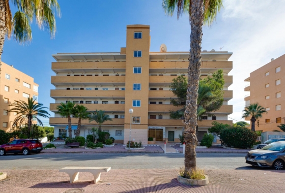 Resale - Apartment - Guardamar del Segura - Pinomar