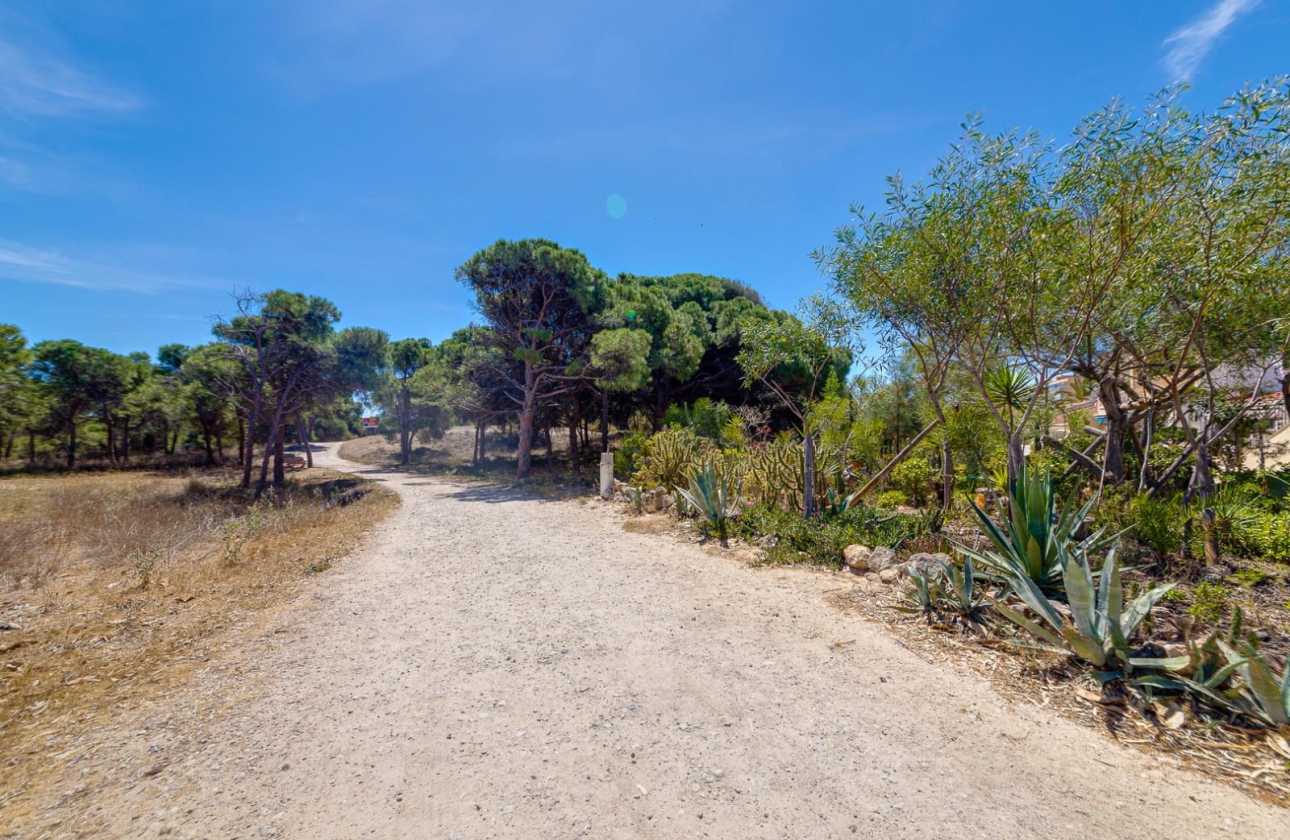 Resale - Apartment - Guardamar del Segura - Pinomar