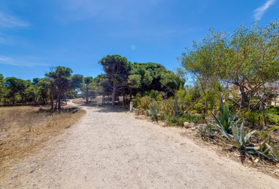 Resale - Apartment - Guardamar del Segura - Pinomar