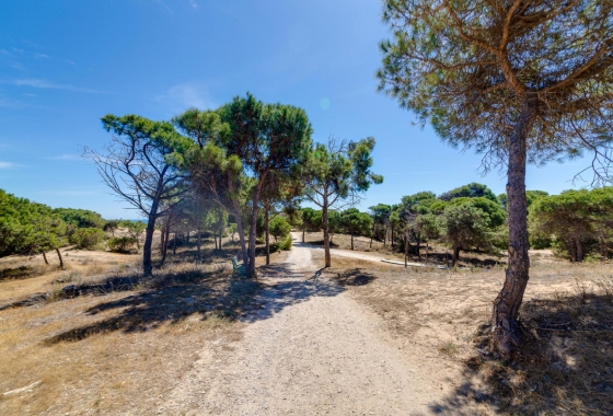 Resale - Apartment - Guardamar del Segura - Pinomar