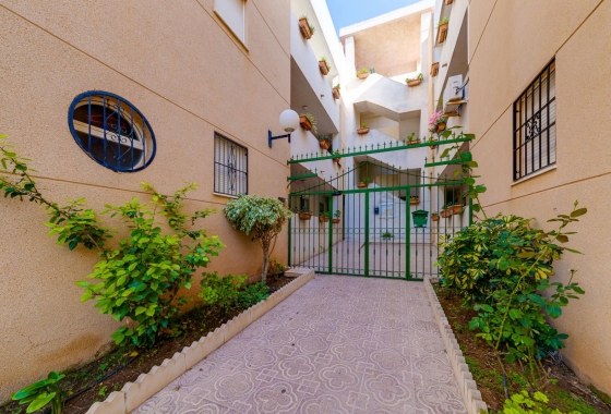 Resale - Apartment - Torrevieja - San Luis