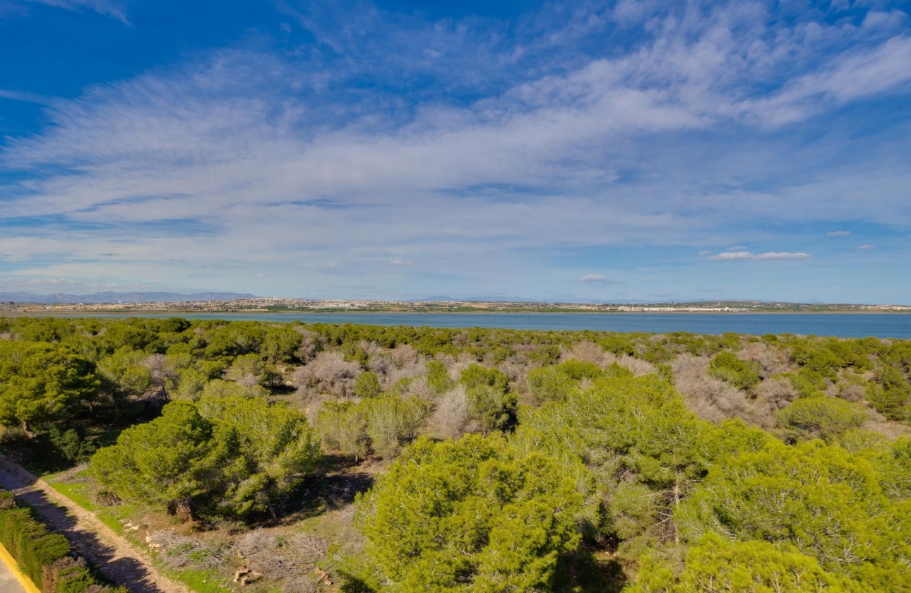 Resale - Apartment - Torrevieja - San Luis