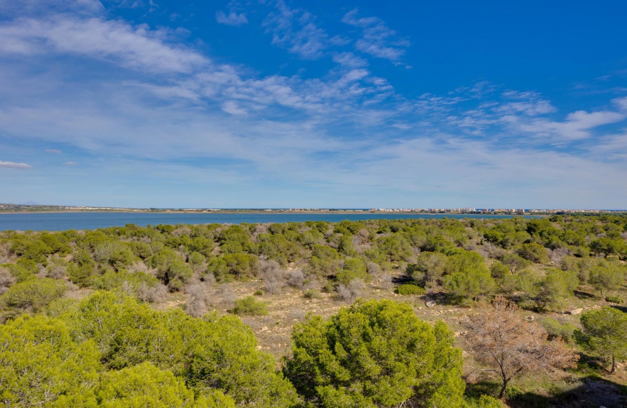 Resale - Apartment - Torrevieja - San Luis