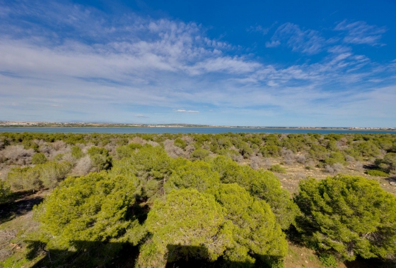 Resale - Apartment - Torrevieja - San Luis