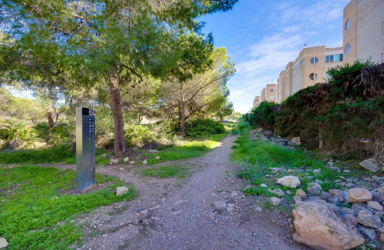 Resale - Apartment - Torrevieja - San Luis