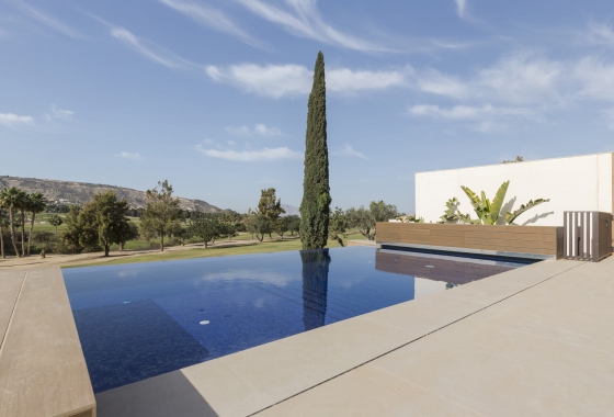 Obra nueva - Villa - Algorfa