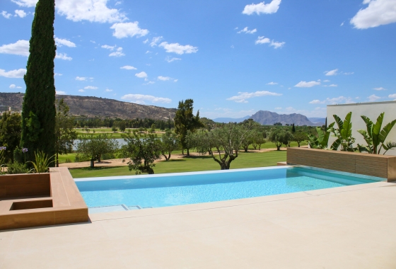 Obra nueva - Villa - Algorfa