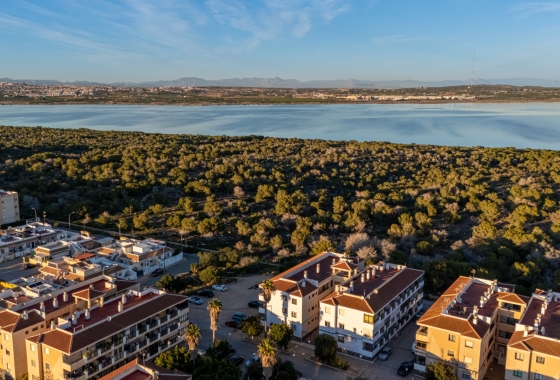 Resale - Apartment - Torrevieja - La Siesta - El Salado -  Torreta