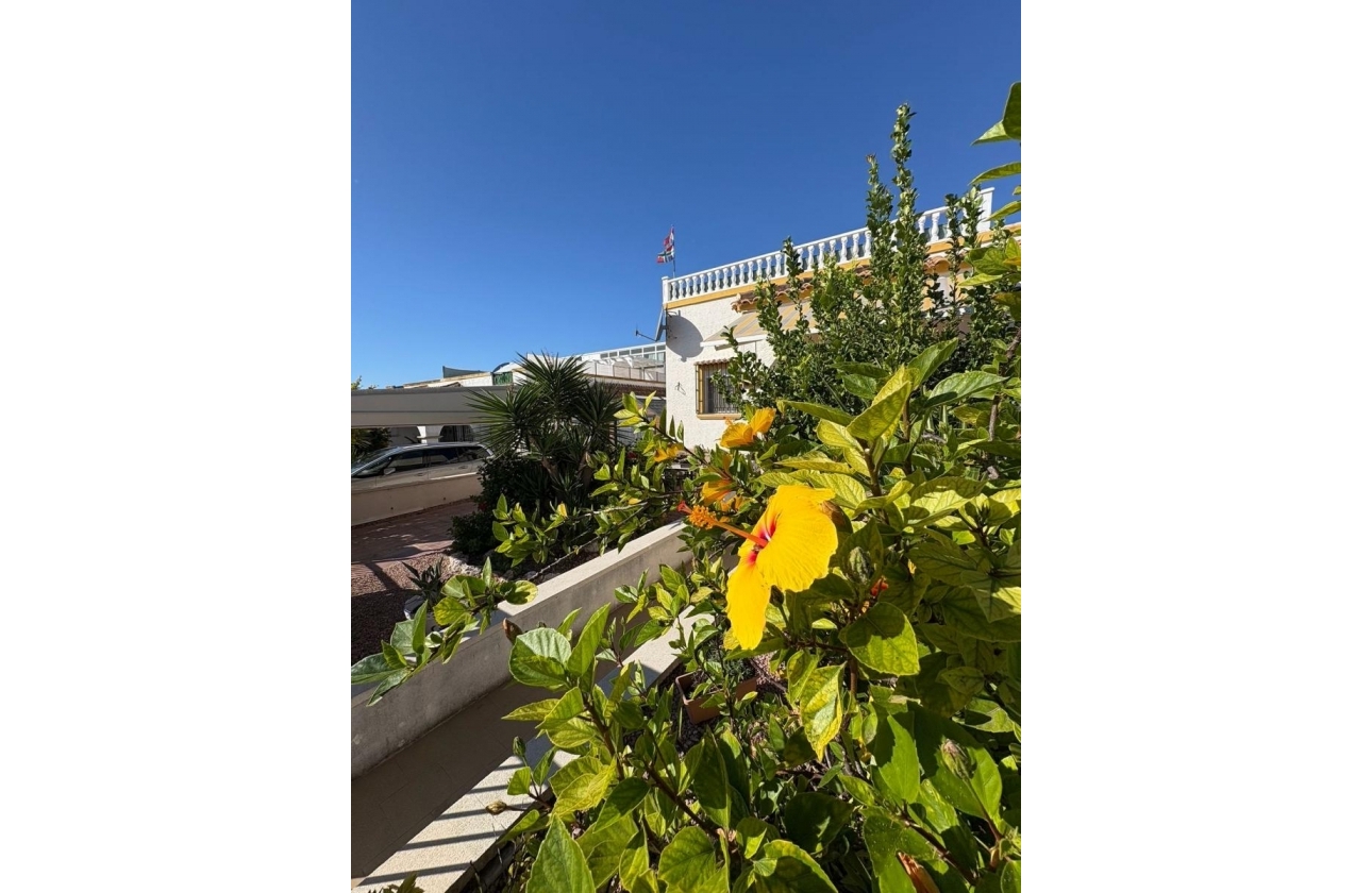 Reventa - Pareado - San Fulgencio