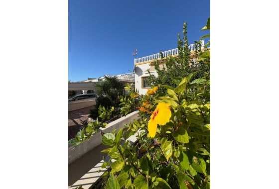 Reventa - Pareado - San Fulgencio