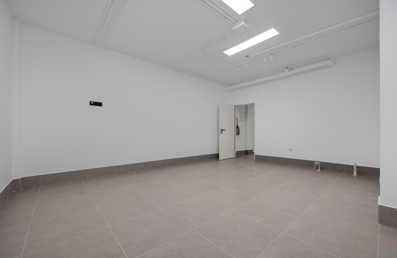 Obra nueva - Detached - Torrevieja