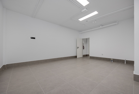 Obra nueva - Detached - Torrevieja