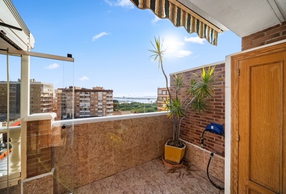 Resale - Penthouse - Torrevieja - Puerto