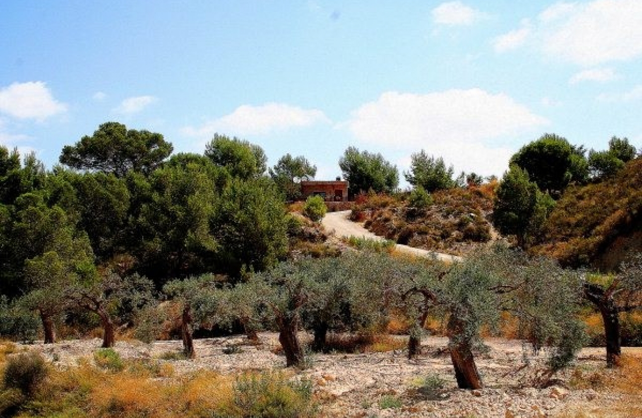 Rynek wtórny - Wiejska posiadłość - Murcia