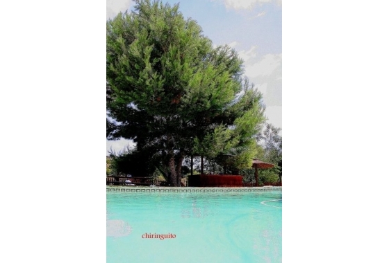 Rynek wtórny - Wiejska posiadłość - Murcia