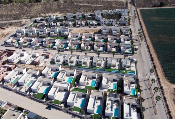 Obra nueva - Detached - Algorfa