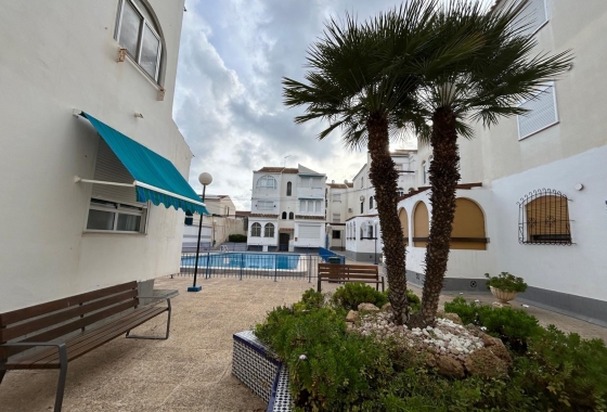Reventa - Apartment - San Miguel de Salinas