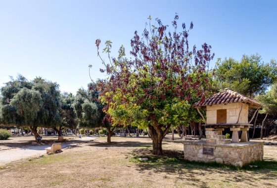 Resale - Apartment - Torrevieja - El Acequión - Los Náufragos