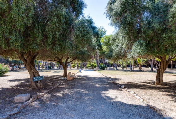 Resale - Apartment - Torrevieja - El Acequión - Los Náufragos