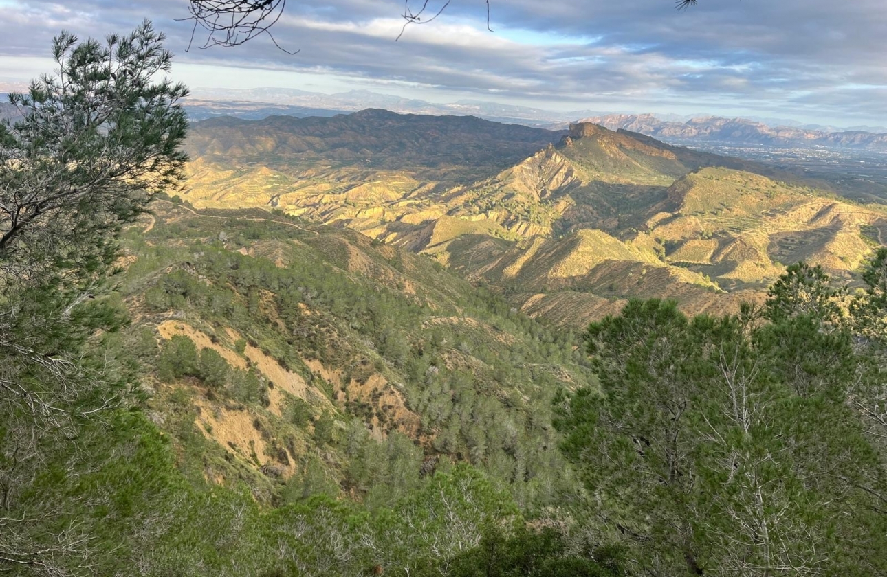 Rynek wtórny - Wiejska posiadłość - Murcia