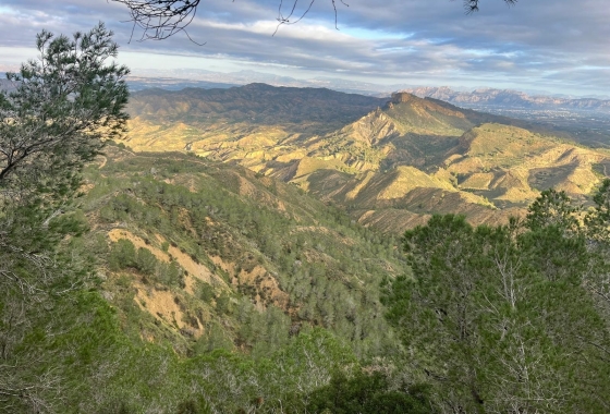 Rynek wtórny - Wiejska posiadłość - Murcia