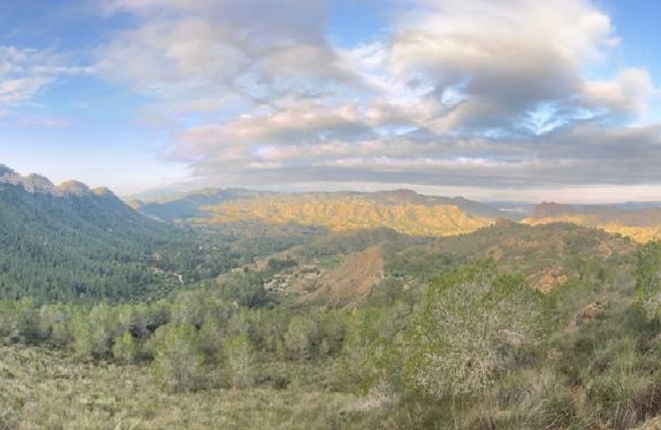 Rynek wtórny - Wiejska posiadłość - Murcia