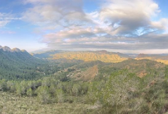Rynek wtórny - Wiejska posiadłość - Murcia
