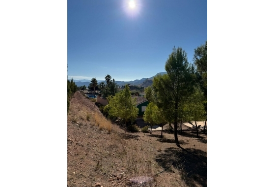 Reventa - Resort - Aledo