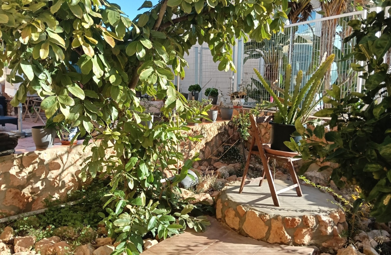 Resale - Apartment - Los Montesinos - La Herrada