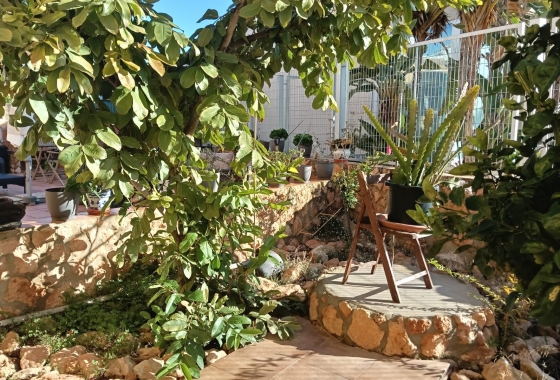 Resale - Apartment - Los Montesinos - La Herrada