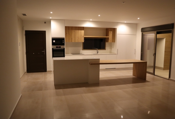 Obra nueva - Detached - Aspe