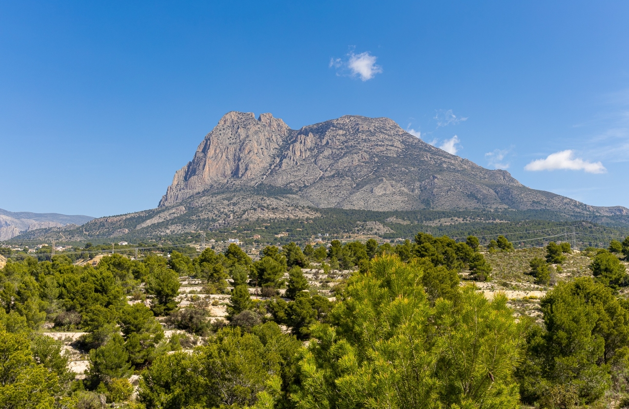 Obra nueva - Detached - Finestrat