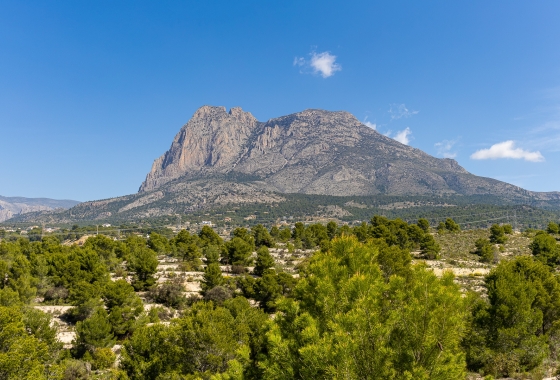 Obra nueva - Detached - Finestrat