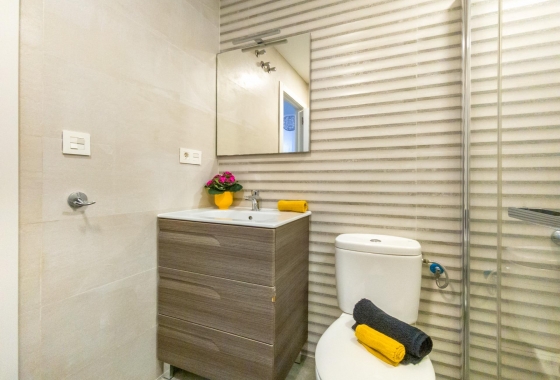Rynek wtórny - Apartament - Torrevieja - Estacion de autobuses