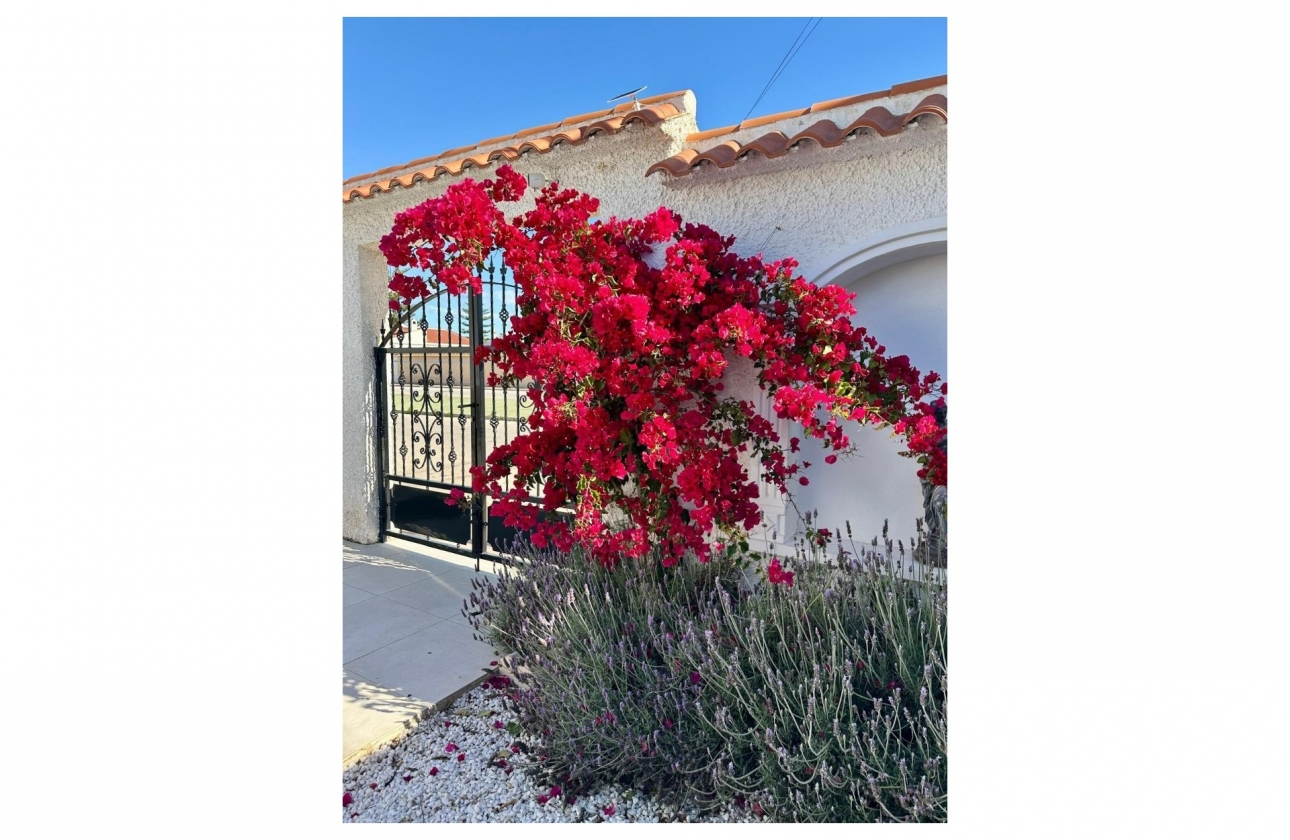 Resale - Villa - Torrevieja - San Luis