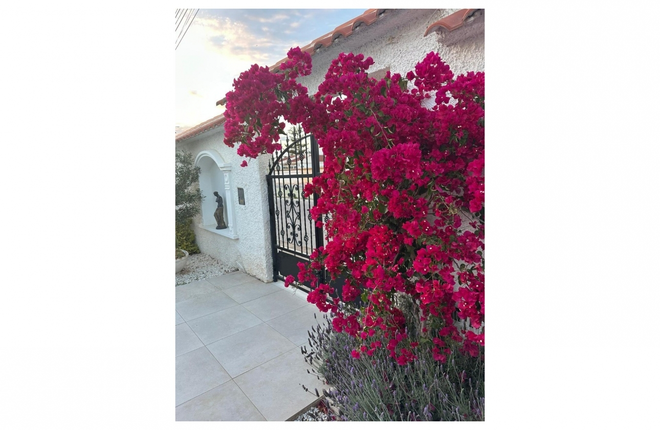 Resale - Villa - Torrevieja - San Luis