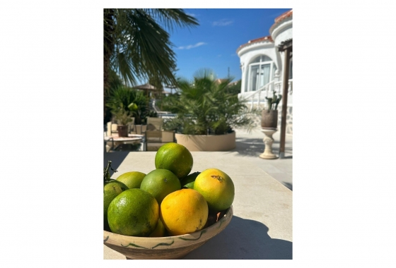 Resale - Villa - Torrevieja - San Luis