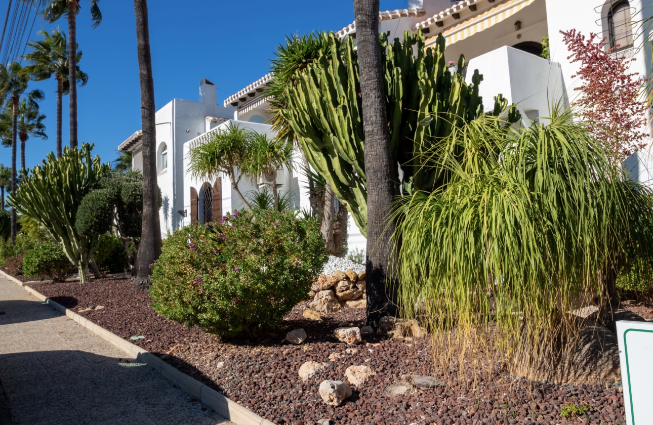 Rynek wtórny - Bliźniak - Orihuela Costa - Fortuna