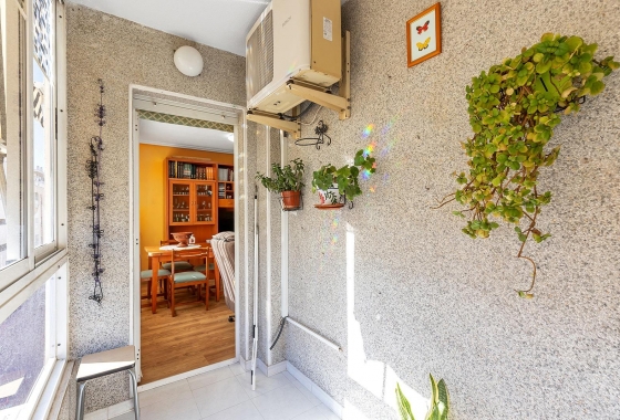 Reventa - Apartment - Torrevieja - Estacion de autobuses