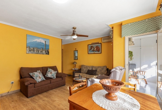 Reventa - Apartment - Torrevieja - Estacion de autobuses