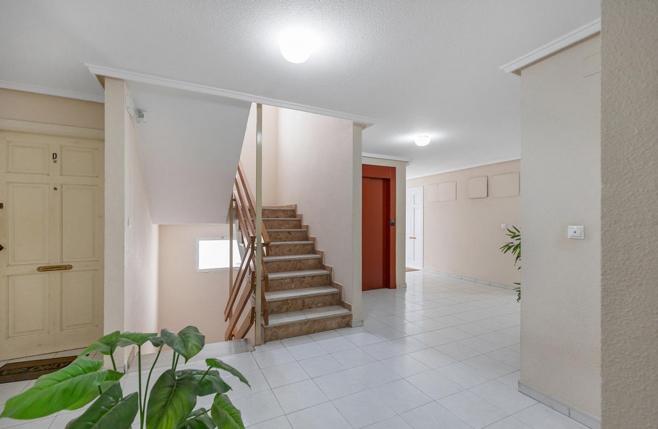 Reventa - Apartment - Torrevieja - Estacion de autobuses