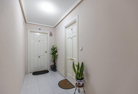 Reventa - Apartment - Torrevieja - Estacion de autobuses