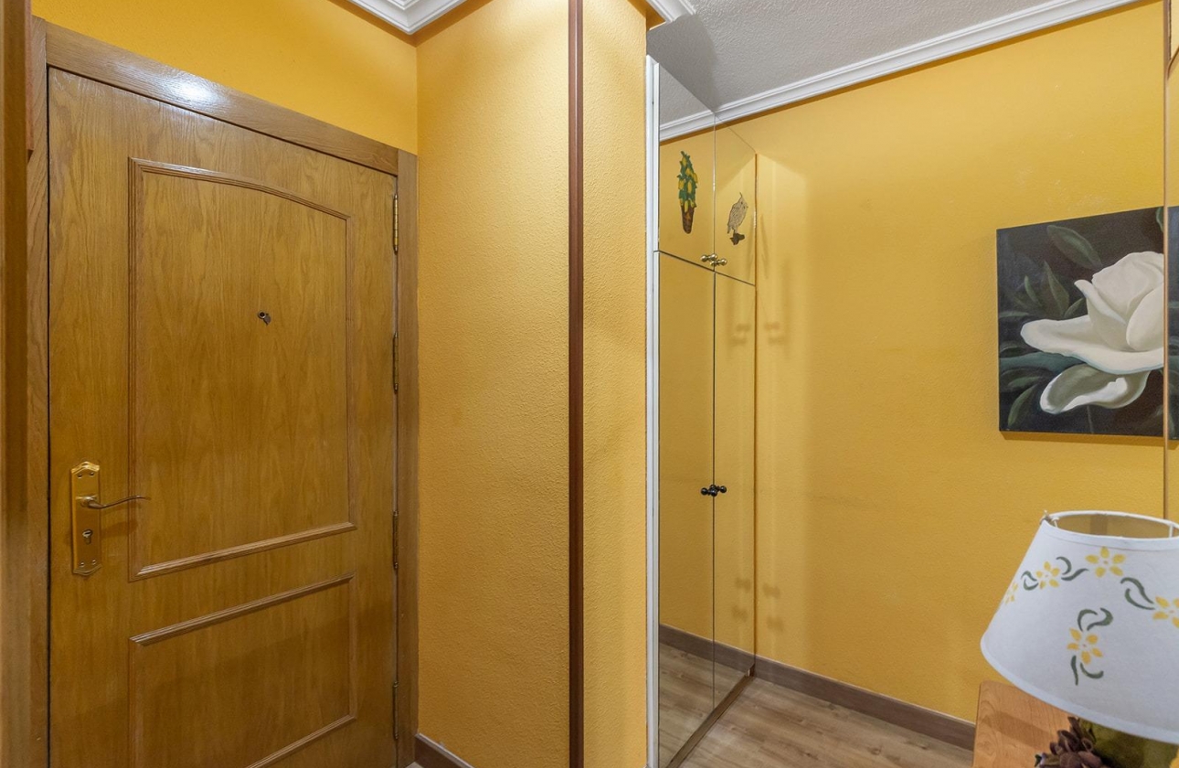 Reventa - Apartment - Torrevieja - Estacion de autobuses