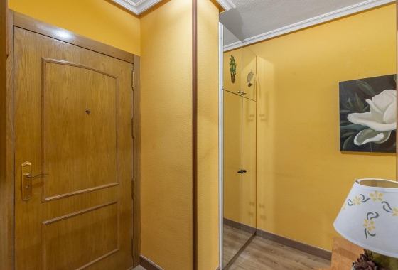 Reventa - Apartment - Torrevieja - Estacion de autobuses