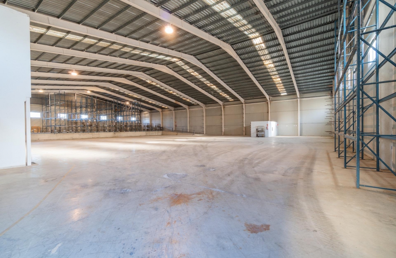 Wynajem długoterminowy - Nieruchomość komercyjna - Pilar de la Horadada - Polígono industrial Cañada de Práez