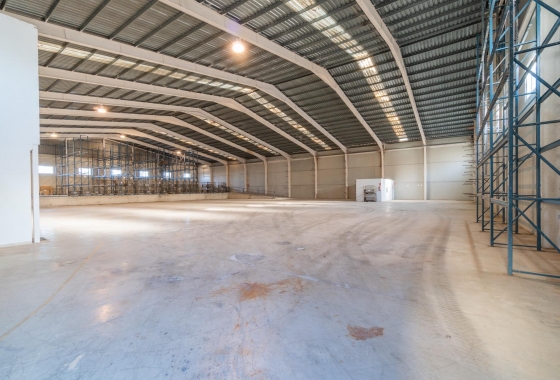 Wynajem długoterminowy - Nieruchomość komercyjna - Pilar de la Horadada - Polígono industrial Cañada de Práez