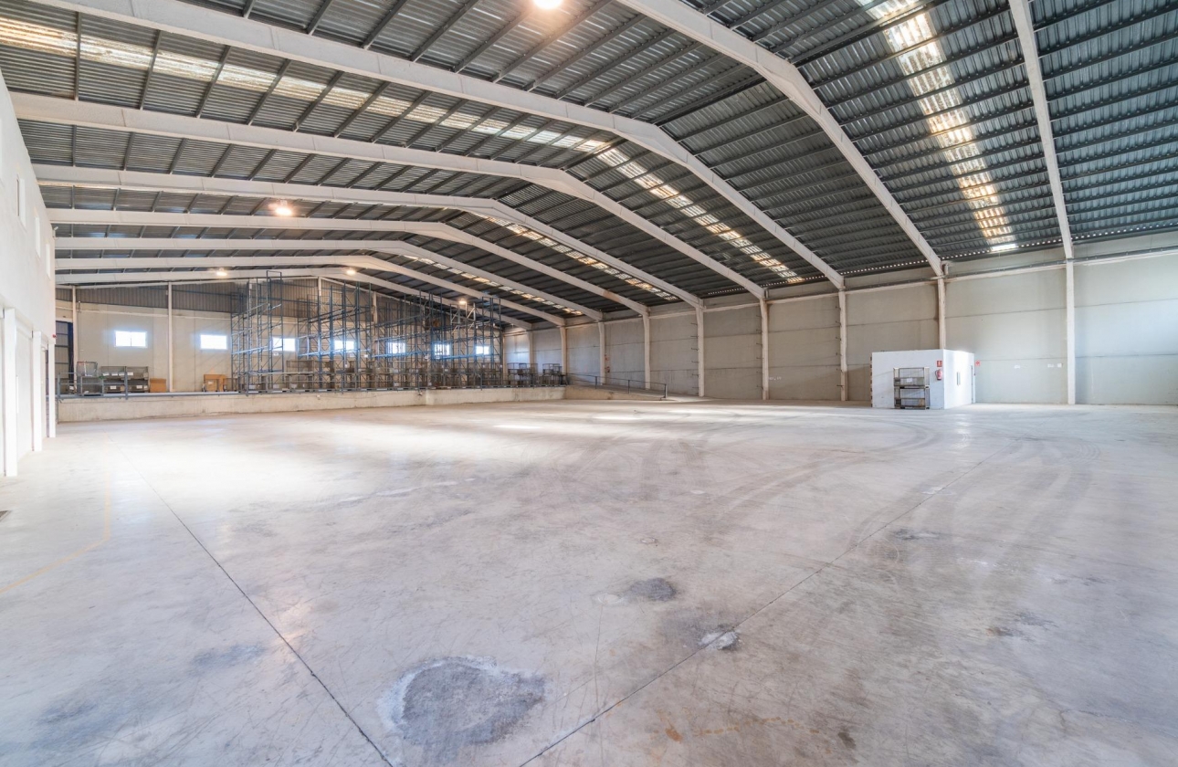 Wynajem długoterminowy - Nieruchomość komercyjna - Pilar de la Horadada - Polígono industrial Cañada de Práez