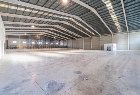 Wynajem długoterminowy - Nieruchomość komercyjna - Pilar de la Horadada - Polígono industrial Cañada de Práez
